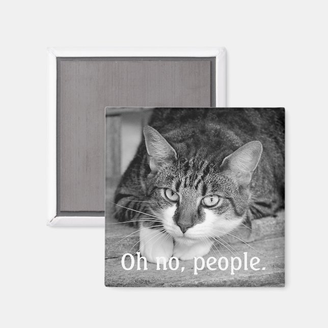 Crabby Cat: "Oh nein, Leute." Magnet (Vorderseite/Rückseite)
