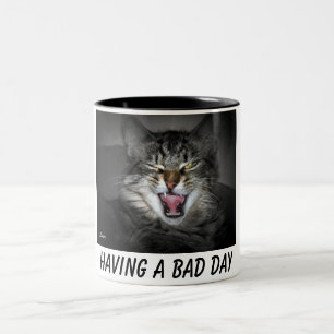 Crabby Kitty Chat Mug