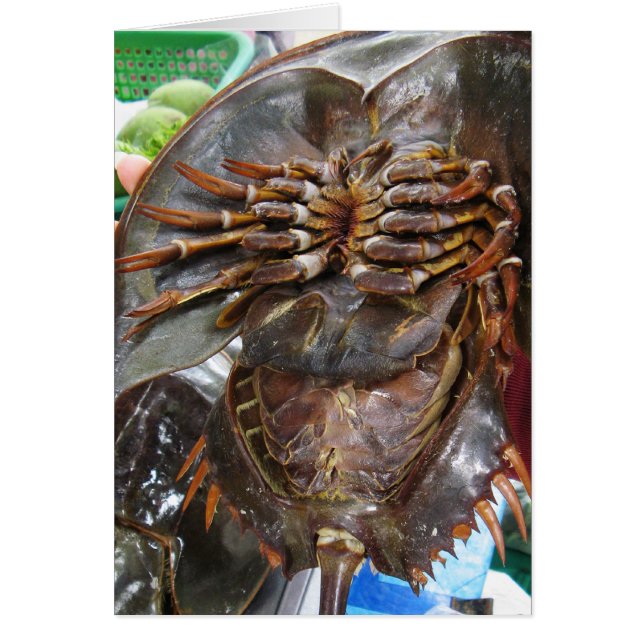 Crabe à fer à cheval ... Carte alimentaire thaïe a (Devant)