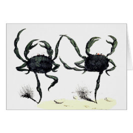 Crabe tango danse mignonne crabe de plage d'été vi