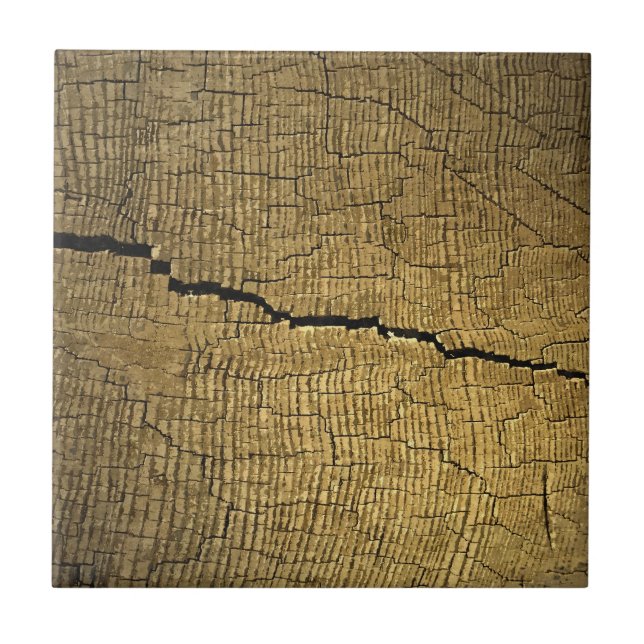 Crack Fliese (Vorderseite)