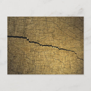 Crack Postkarte