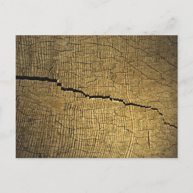 Crack Postkarte (Vorderseite)