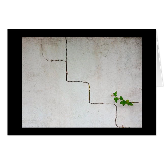 cracked (Devant horizontal)