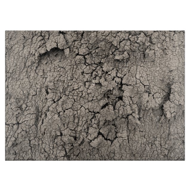 Cracked Earth Funny Cool Texture Schneidebrett (Vorderseite)