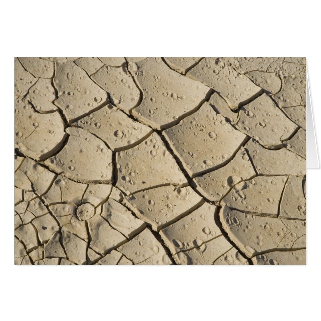 Cracked Mud Formation im Talboden von 2 (Vorderseite (Horizontal))