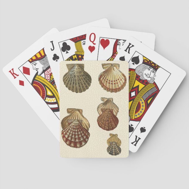 Crackig Antike Muscheln Spielkarten (Rückseite)