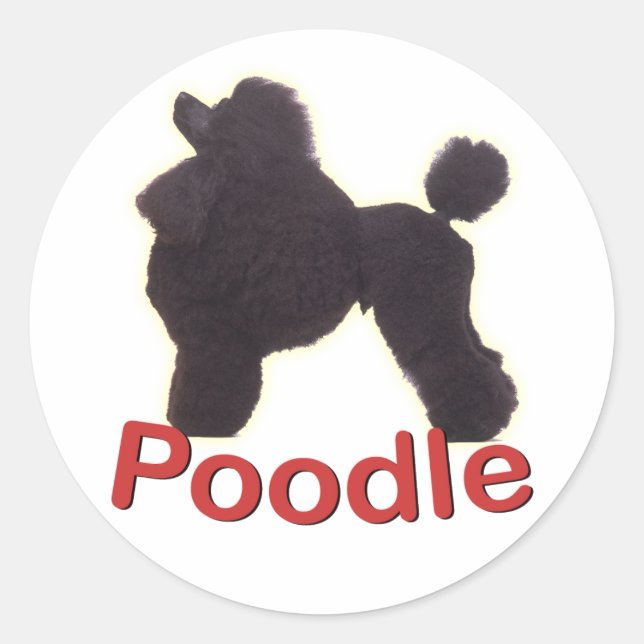Cradle Black Poodle Sticker (Vorderseite)