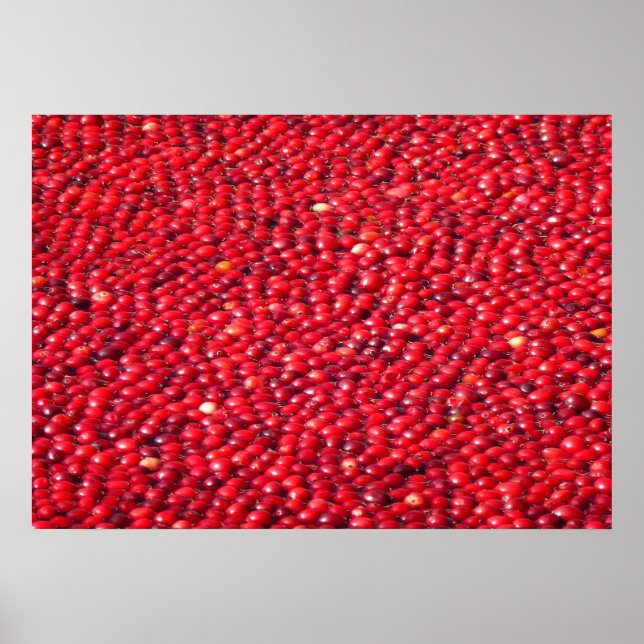 Cranberries Festivals Red Poster (Vorne)