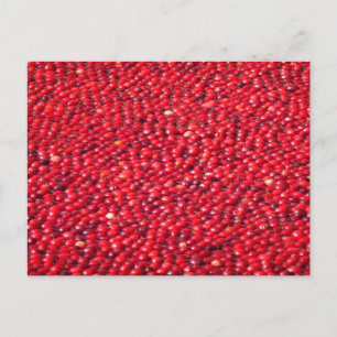 Cranberries Festivals Red Postkarte