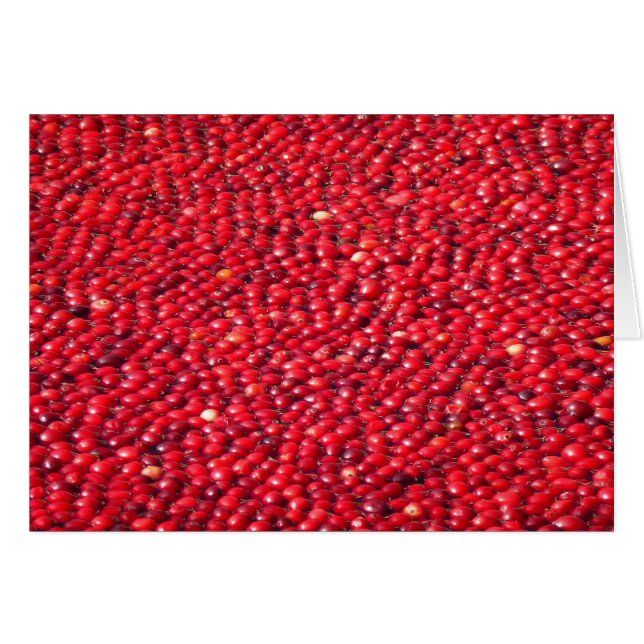 Cranberries Festliches Rot (Vorderseite (Horizontal))