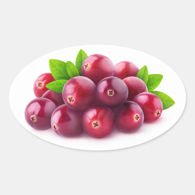 Cranberries Ovaler Aufkleber (Vorderseite)