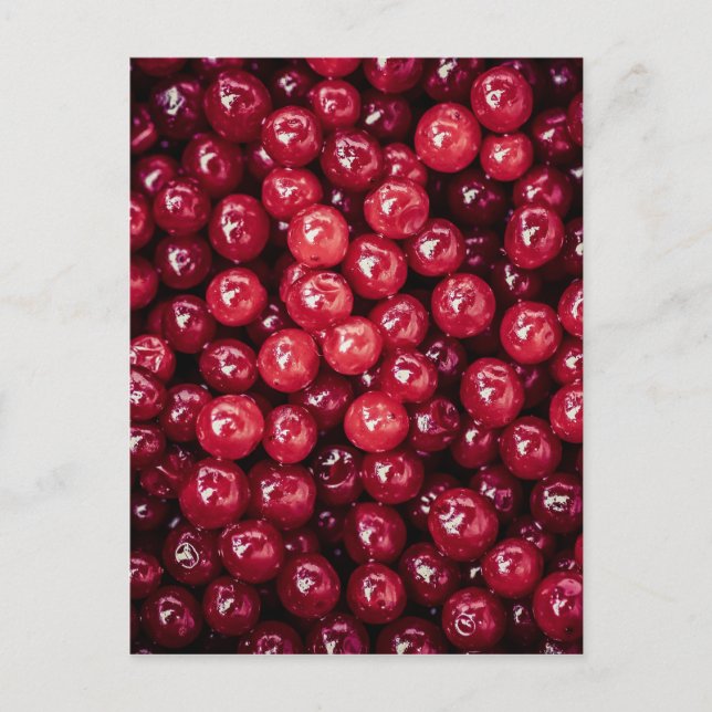 Cranberries Postkarte (Vorderseite)