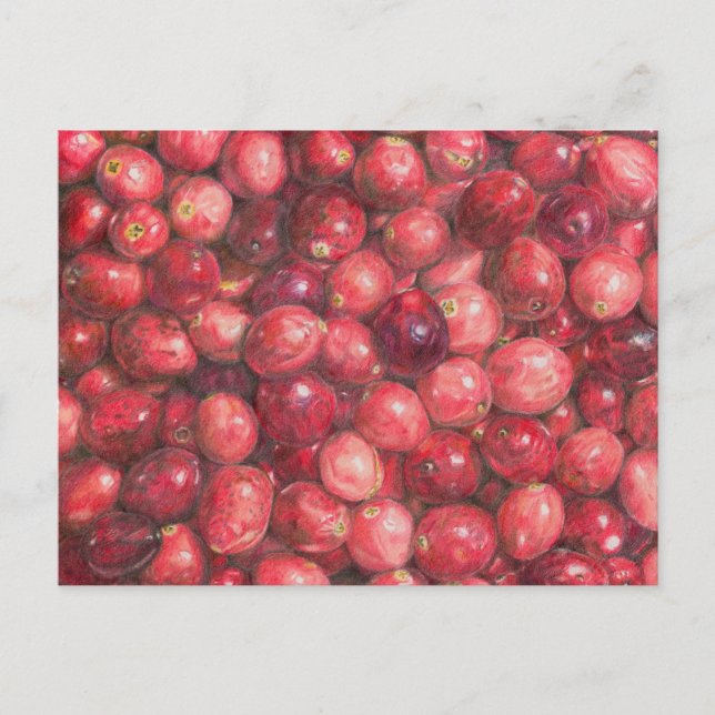 Cranberries Still Life Postkarte (Vorderseite)