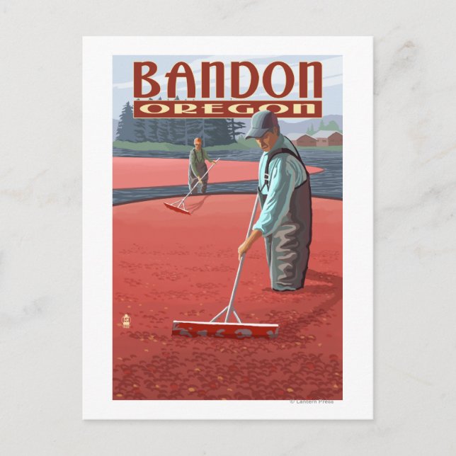 Cranberry Bogs Harvest - Bandon, Oregon Postkarte (Vorderseite)