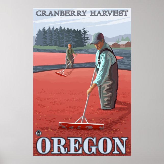 Cranberry Bogs Harvest Poster (Vorne)
