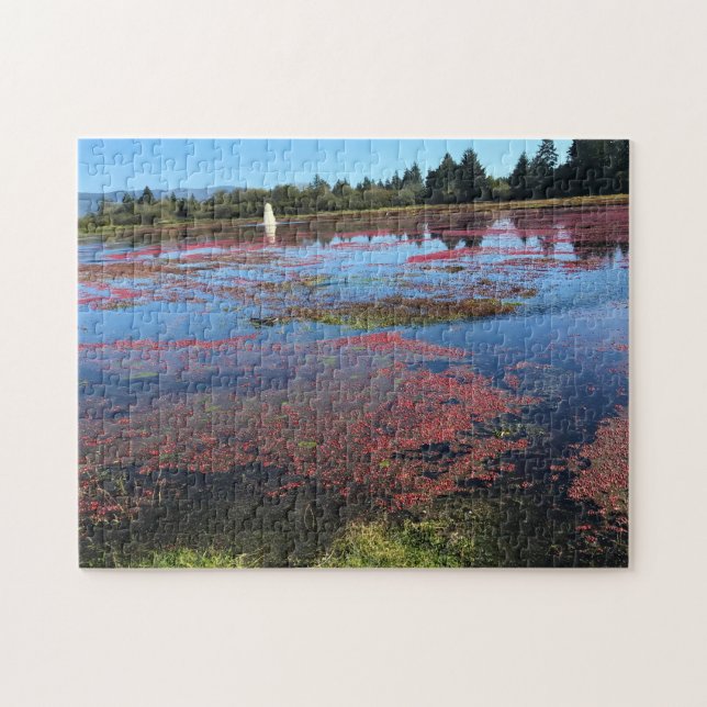 Cranberry Farm, Long Beach, Washington (Horizontal)