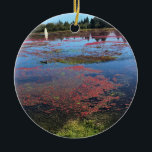 Cranberry Farm, Long Beach, Washington Keramik Ornament<br><div class="desc">Blick auf übrig gebliebene Cranberries, die noch nicht von einem Moor auf einem Cranberry-Bauernhof in Long Beach, Washington geerntet wurden. Foto wurde im Oktober 2017 aufgenommen.</div>