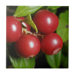 Cranberry Fliese