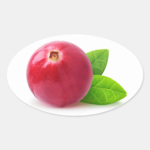 Cranberry Ovaler Aufkleber