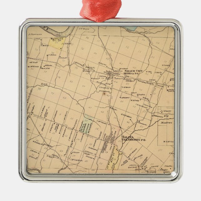Cranberry Township Silbernes Ornament (Vorne)
