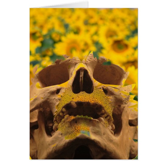 Crâne avec fleurs (Devant)