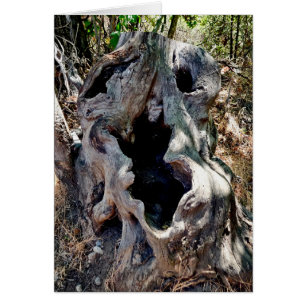 Crâne de souche d'arbre