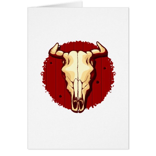 Crâne de vache (Devant)