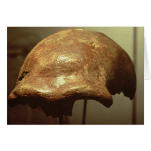 Crâne d'un Neanderthal