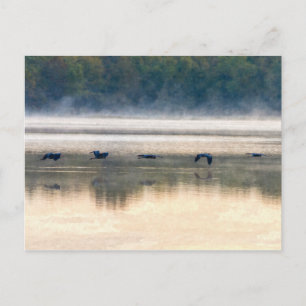 Crane Flight Painterly Postkarte