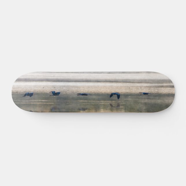 Crane Flight Painterly Skateboard (Horizontal)