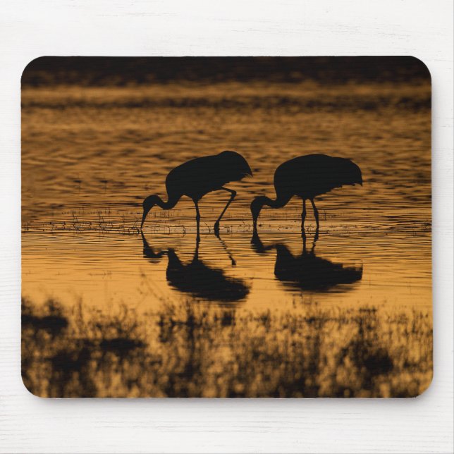 Cranes Silhouette vom Sonnenuntergang Mousepad (Vorne)