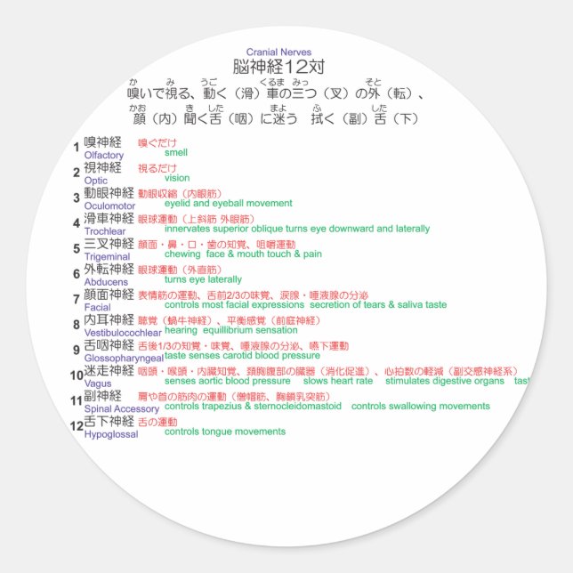 Cranial Nerves japanese 12 Runder Aufkleber (Vorderseite)