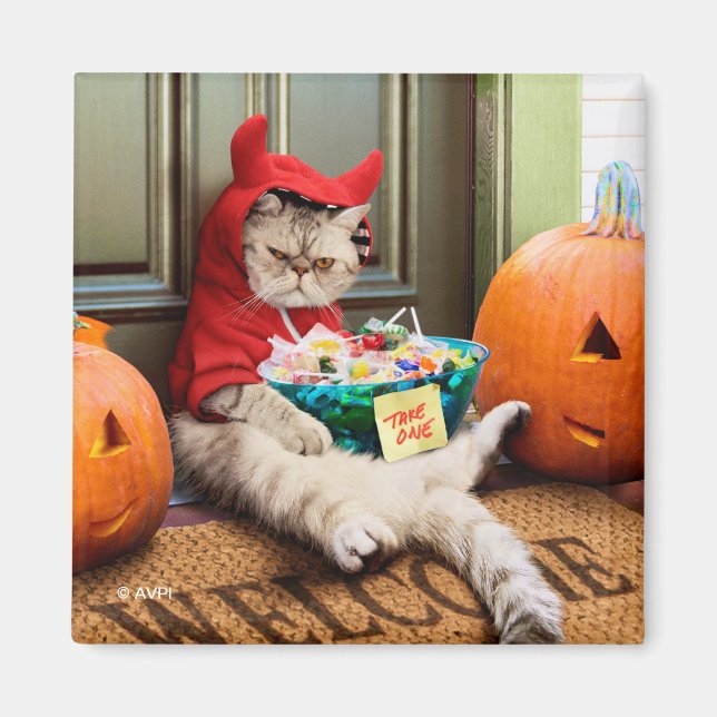 Cranky Devil Cat Magnet (Vorne)