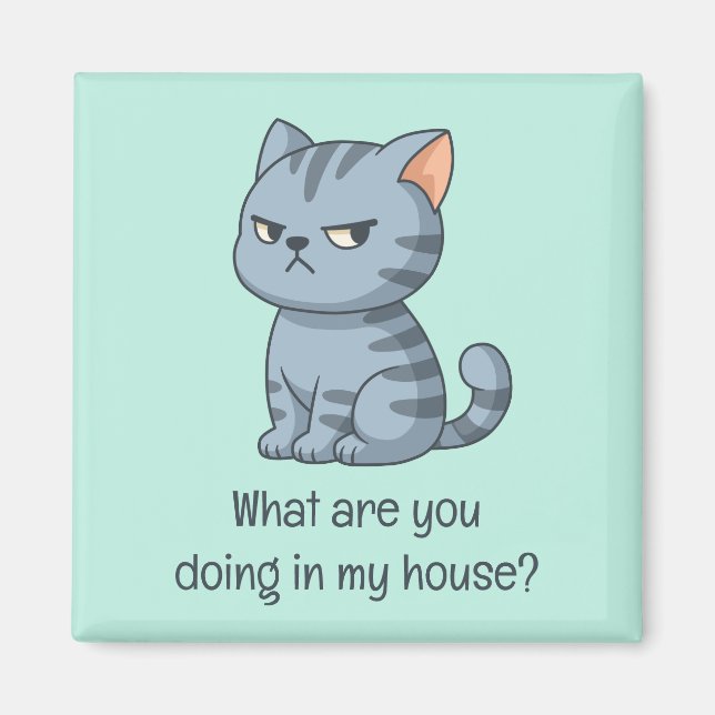 Cranky Grey Tabby Cat Funny Text Green Magnet (Vorne)