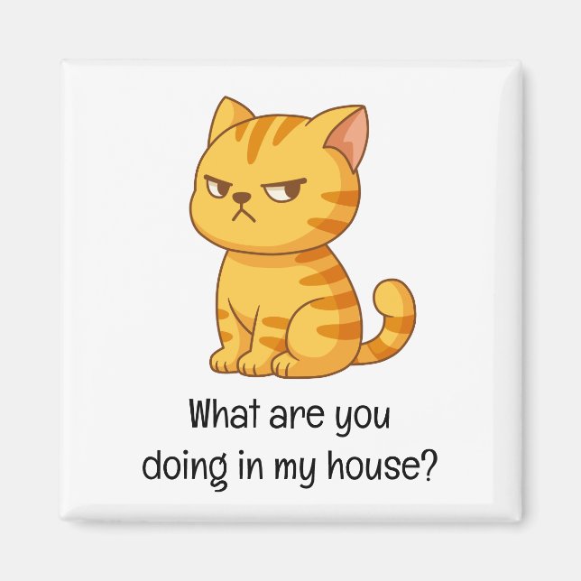 Cranky Orange Tabby Cat Funny Text Magnet (Vorne)