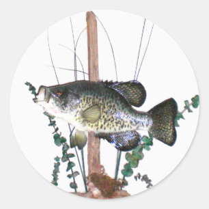 Crappie-Berg Runder Aufkleber