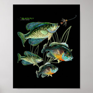 Crappie Bluegill Angel-Shirts Hoodies Schwarz Flie Poster