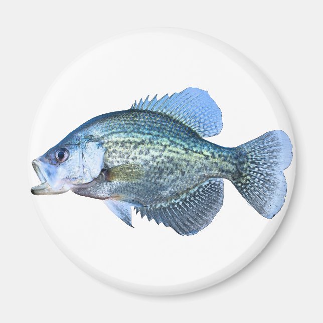 Crappie Magnet (Vorne)