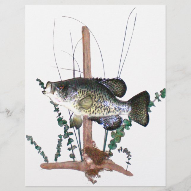 Crappie Mount (Vorderseite)