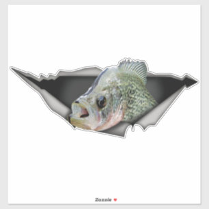 Crappy car decal, Crappy Aufkleber, Crappy zerriss Aufkleber