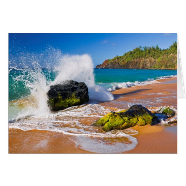 Crash des vagues sur la plage, Hawaii (Devant horizontal)