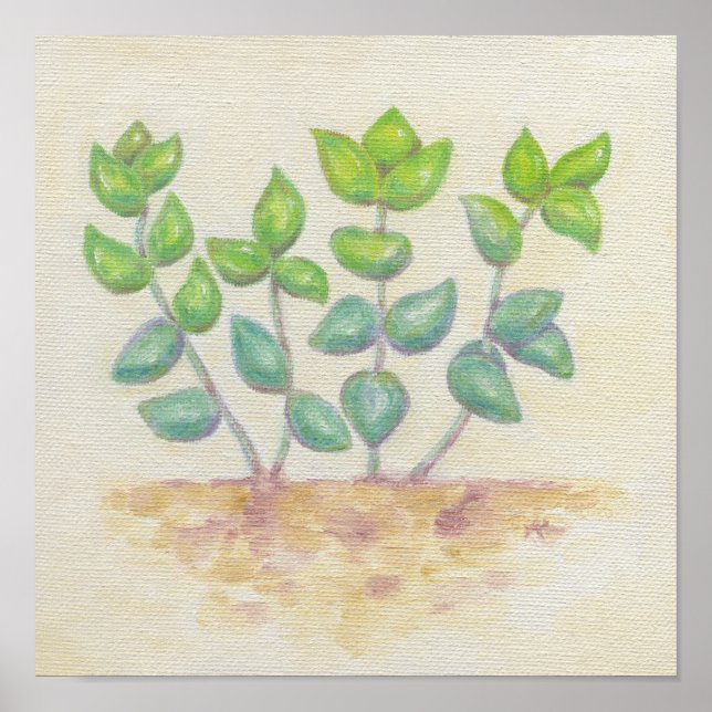 Crassula art print poster (Vorne)