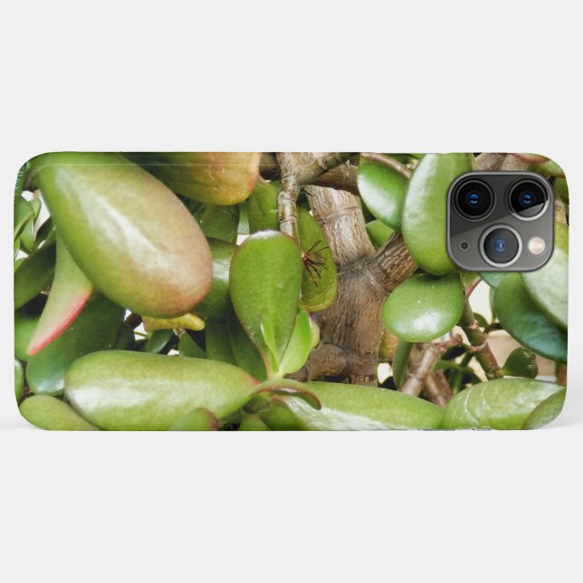 Crassula ovata Case-Mate iPhone hülle (Rückseite (Horizontal))