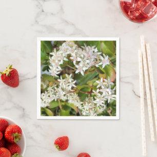 Crassula ovata Paper Napkins Serviette