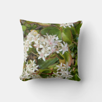 Crassula ovata Throw Cushion Kissen