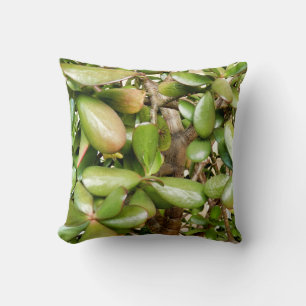 Crassula ovata Throw Cushion Kissen