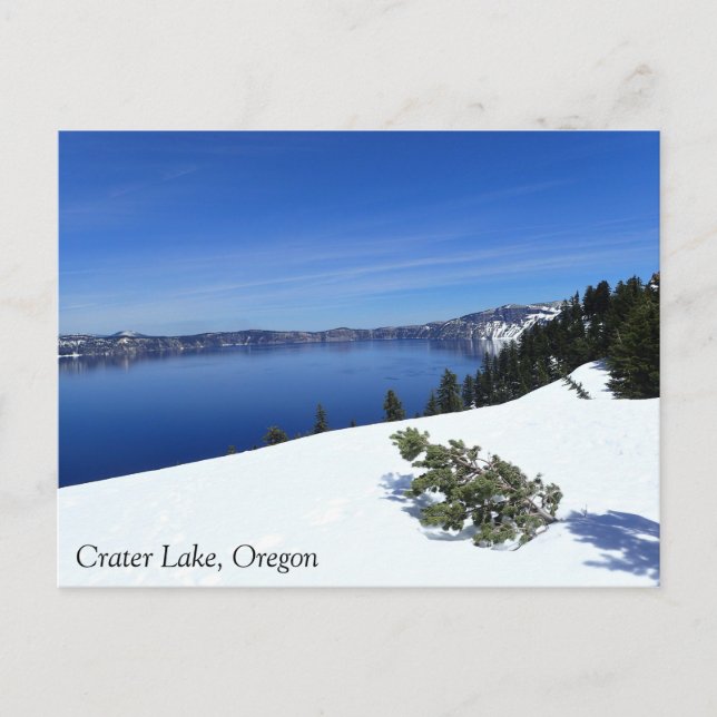 Crater Lake, Oregon Postkarte (Vorderseite)