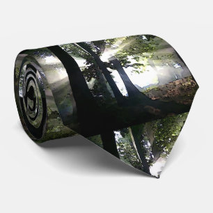 Cravate Arbres - Lumière du soleil à travers la forêt