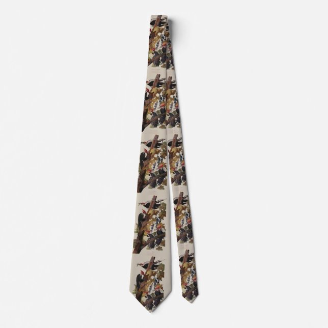 Cravate Audubon Peinture d'Oiseaux Pic Pilé (Devant)
